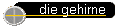 die gehirne